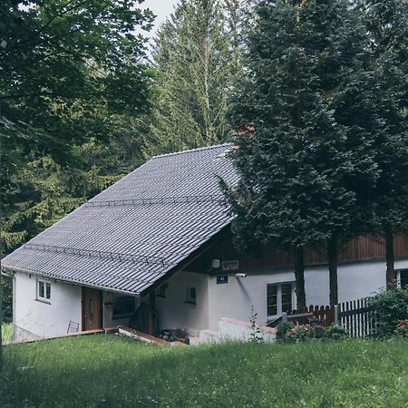 Chopina 43 Apartment Карпач Екстериор снимка